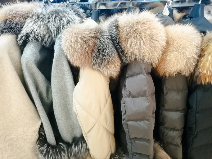 Arctic Bay Dry Cleaning in Scarborough